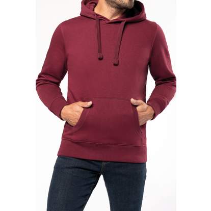 Image produit alternative Sweat-shirt capuche homme