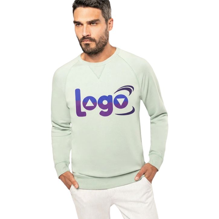 Image produit alternative Sweat-shirt BIO col rond manches raglan homme 
