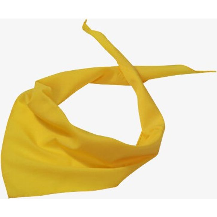 Image produit alternative Triangular Scarf