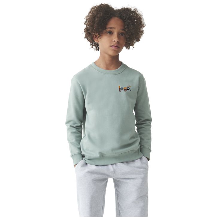 Image produit alternative Sweatshirt enfant AWDis