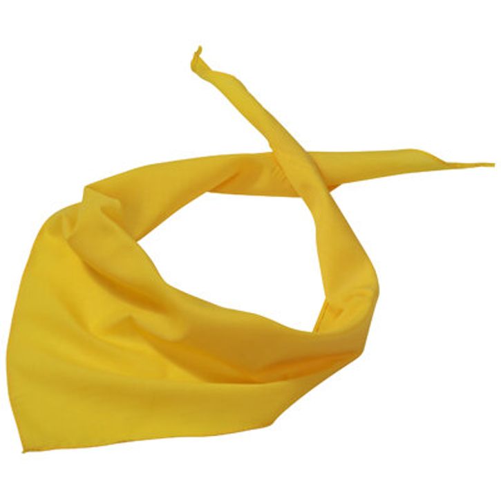 Image produit alternative Triangular Scarf