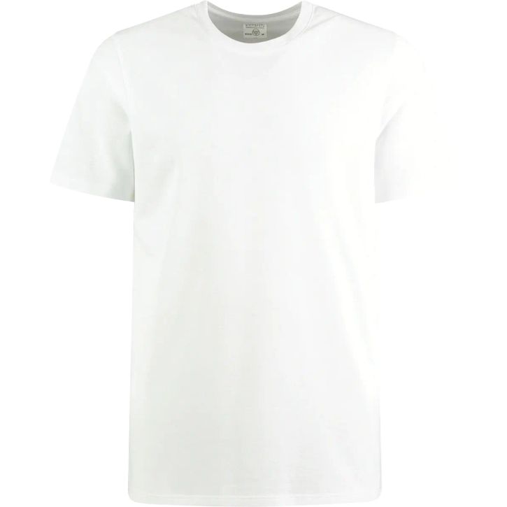 Regular Fit Pique Tee