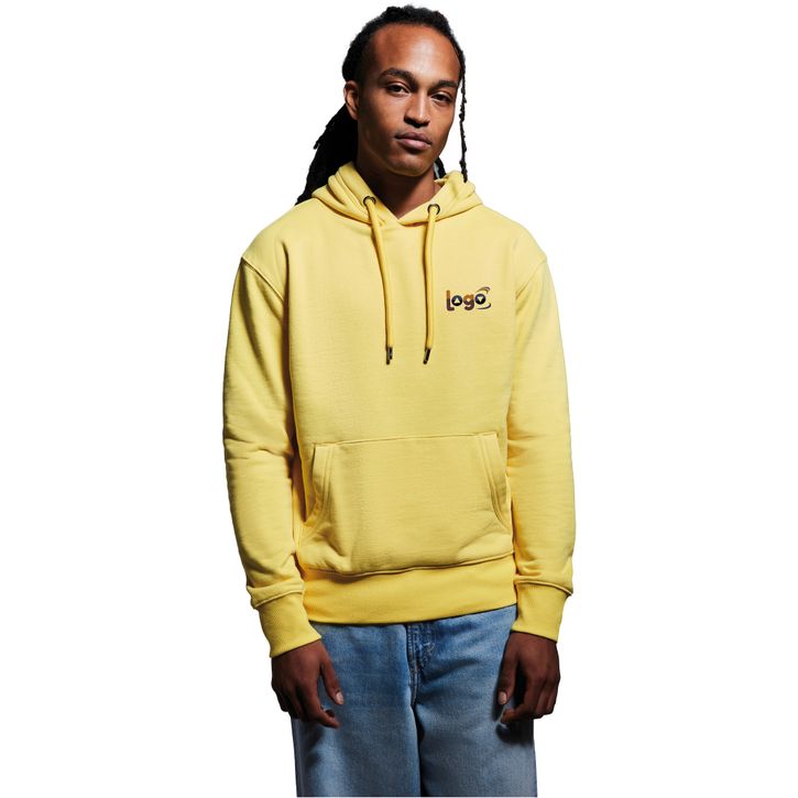 Image produit alternative Sweat à capuche Anthem pour homme