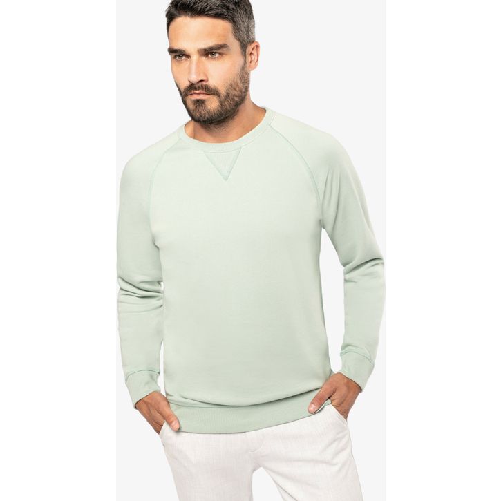 Image produit alternative Sweat-shirt BIO col rond manches raglan homme 