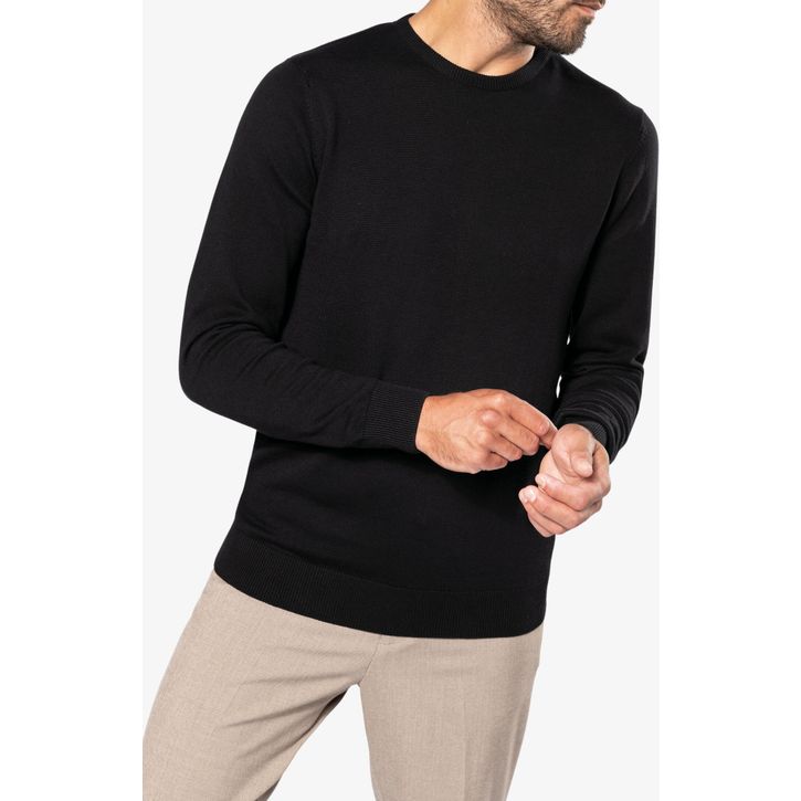 Image produit alternative Pull col rond